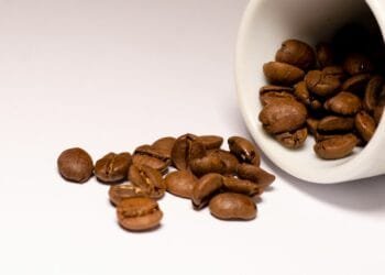 brown coffee beans on white ceramic mug