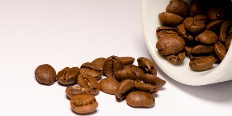 brown coffee beans on white ceramic mug